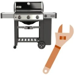 GENESIS II E-310 GBS 2019 Monté - Weber Grils à Gaz